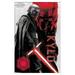 Star Wars: The Rise Of Skywalker - Kylo Ren Wall Poster 22.375 x 34 Framed