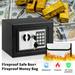 LOCKSWORTH 0.2 Cubic Feet Electronic Digital Safe Box Steel Money Safe Box for Home with Fireproof Money Bag for Cash Safe Hidden