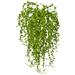 Nearly Natural 15in. Senecio Succulent Artificial Plant Set of 3 Green