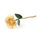 YLSHRF Love Forever Long Stem 24k Gold Dipped Rose Flower Love Gift to Wife Gold Dipped Rose 24k Gold Dipped Rose