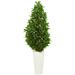 Nearly Natural 63-In. Bay Leaf Cone Topiary Artificial Tree in White Planter UV Resistant (Indoor/Outdoor)
