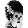 Elsa Lanchester in Bride of Frankenstein striking profile portrait 24x36 Poster