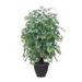 Vickerman TXX0640-RG 4 ft. Artificial Ming Aralia Extra Full Tree in Gray Pot Container Dark Green