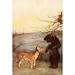 Baby Animals 1917 Bear & tiger Poster Print by Margaret S. Johnson (18 x 24)