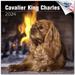 2023 2024 Cavalier King Charles Calendar - Dog Breed Monthly Wall Calendar - 12 x 24 Open - Thick No-Bleed Paper - Giftable - Academic Teacher s Planner Calendar Organizing & Planning - Made in USA