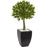 Nearly Natural 42in. Bay Leaf Artificial Topiary with Black Wash Planter UV Resistant (Indoor/Outdoor) Green