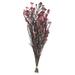 Vickerman 16 Wild Berry Rice Flower . Comes in a 4.25 oz Bundle. Preserved