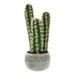 Pure Garden Faux Potted Cactus Plant 22-inch Artificial Hedge Cacti Succulent in a Clay Fiber Pot