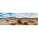 Bushes in a desert Death Valley Death Valley National Park California USA Poster Print (36 x 12)