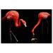 Awkward Styles Cute Room Decorations Beautiful Flamingo Picture Girls Room Decor Black Room Wall Art Flamingo Room Wall Decor Flamingo Poster Decor Ideas Unframed Art Picture Home Decor Ideas