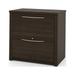 Scranton & Co 2 Drawer Lateral File Storage Cabinet in Dark Chocolate