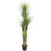 Nearly Natural Dracaena Artificial Plant