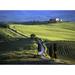 Looking Down Road At Dusk To Old Farmhouse On Hill Top Near Village Of Pienza Poster Print (16 x 12)