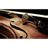 38 x24 Photographic Print Poster Music Violin Musical instrument String instrument