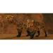 Two Smilodon cats find protection in a vast cave system in the Eocene epoch Poster Print (20 x 10)