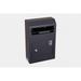 Protex Safe 313 cu ft. Wall-Mount Locking Payment Drop Box Security Safe Locker Black