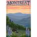 Montreat North Carolina Spring Flowers and Bear Family (12x18 Wall Art Poster Room Decor)