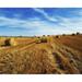 Posterazzi DPI1813794LARGE Hay Baling Poster Print by The Irish Image Collection 34 x 28 - Large