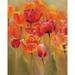 Tulips in the Midst I Poster Print by Marilyn Hageman (8 x 10)