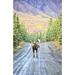 A bull moose stands in the middle of Denali Park Road in Denali National Park and Preserve with the mountains in the background in autumn; Alaska United States of America PosterPrint