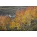 CO Gunnison NF Aspen grove at peak autumn color by Don Grall (24 x 18)