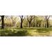 Panoramic Images PPI146480L Trees and grass in a Central Park in the spring time New York City New York State USA Poster Print by Panoramic Images - 36 x 12