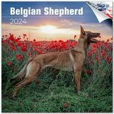 2023 2024 Belgian Shepherd Calendar - Dog Breed Monthly Wall Calendar - 12 x 24 Open - Thick No-Bleed Paper - Giftable - Academic Teacher s Planner Calendar Organizing & Planning - Made in USA