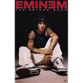 Pop Culture Graphics Eminem - The Eminem Show Movie Poster 11 x 17