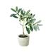 Artificial Olive Tree in Pot 12-Inch