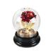 Dido Rose Flower in Glass Dome Floral Globe with LED Light Christmas Bedroom Office Tabletop Decoration Wedding Gift