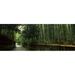 Panoramic Images PPI111289L Road passing through a bamboo forest Arashiyama Kyoto Prefecture Kinki Region Honshu Japan Poster Print by Panoramic Images - 36 x 12