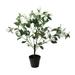 Northlight 2.7 Unlit Artificial Potted White Lily Magnolia Flowering Tree