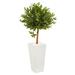 Nearly Natural 4 ft. UV Resistant Olive Topiary Artificial Tree in White Planter