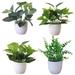 Happy Date Faux Plants Indoor Artificial Plants for Home Decor Indoor Small Fake Plants - Fake Plants Decor and Decorative Plants Fake Plant and Artificial Plant - White Pot