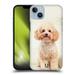 Head Case Designs Popular Dog Breeds Sitting White Poodle Hard Back Case Compatible with Apple iPhone 14 Plus