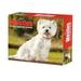 Westies 2023 Box Calendar