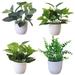 Windfall Mini Potted Artificial Faux Herbs Small Houseplants Plastic Plant Fresh Artificial Foliage Plant Potted Bonsai for Home Bathroom Wedding Tabletop Real Green Bonsai Desktop Decor