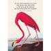 A true conservationist is a man who knows that the world is not given to his fathers but borrowed from his children. Audubon. Poster Print by John James Audubon (24 x 36)