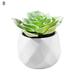 Easy to Maintain Artificial Potted White Ceramic Potted Mini Modern Decoration Artificial Succulent Potted for Home Black