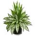 Nearly Natural 20 Silver Queen and Grass Artificial Plant in Black Vase