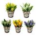 Sugeryy Artificial Plants Potted Fake Grass Home Office Desktop Decor Mini Faux Green Bonsai