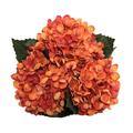 Artificial Flowers Full Hydrangea DIY Faux Flower Silk Reusable Fake Floral Plant for Bridal Wedding Orange Faux Silk Flow