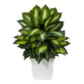 Nearly Natural 2ft. Golden Dieffenbachia Artificial Plant in White Metal Planter