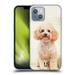 Head Case Designs Popular Dog Breeds Sitting White Poodle Soft Gel Case Compatible with Apple iPhone 14