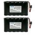 Kastar 2-Pack Backup Battery Replacement for Panasonic P-P507 P-P507A P-P507A/BA1 Panasonic 2.4 GHz Cordless Station Unit for KX-TG2000B or KX-TG4000B Systems with Hearing Aid Compatibility (HAC)