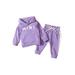 Canrulo Newborn Baby Girls Fall Winter Outfits Long Sleeve Hoodies Sweatshirt Mini Pullover Tops Pants Tracksuit Purple 12-18 Months