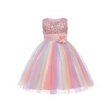 Toddler Kids Baby Girls Rainbow Mesh Tutu Princess Dresses Lace Flower Sleeveless Formal Party Evening Dress