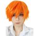 Toyfunny Fashion Short Straight Wig Hair Party Cosplay Full Wigs Styling Cool Wig 30cm