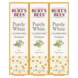 Burt s Bees Toothpaste Fluoride Free Purely White Zen Peppermint 4.7 oz Pack of 3