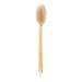 Earth Therapeutics Back Brush Ergo-Form Far Reaching 1 Brush